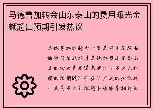 马德鲁加转会山东泰山的费用曝光金额超出预期引发热议